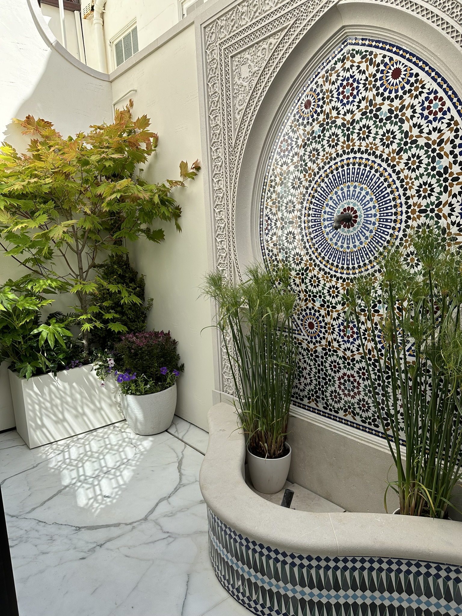 Exotic garden — lush foliage and color