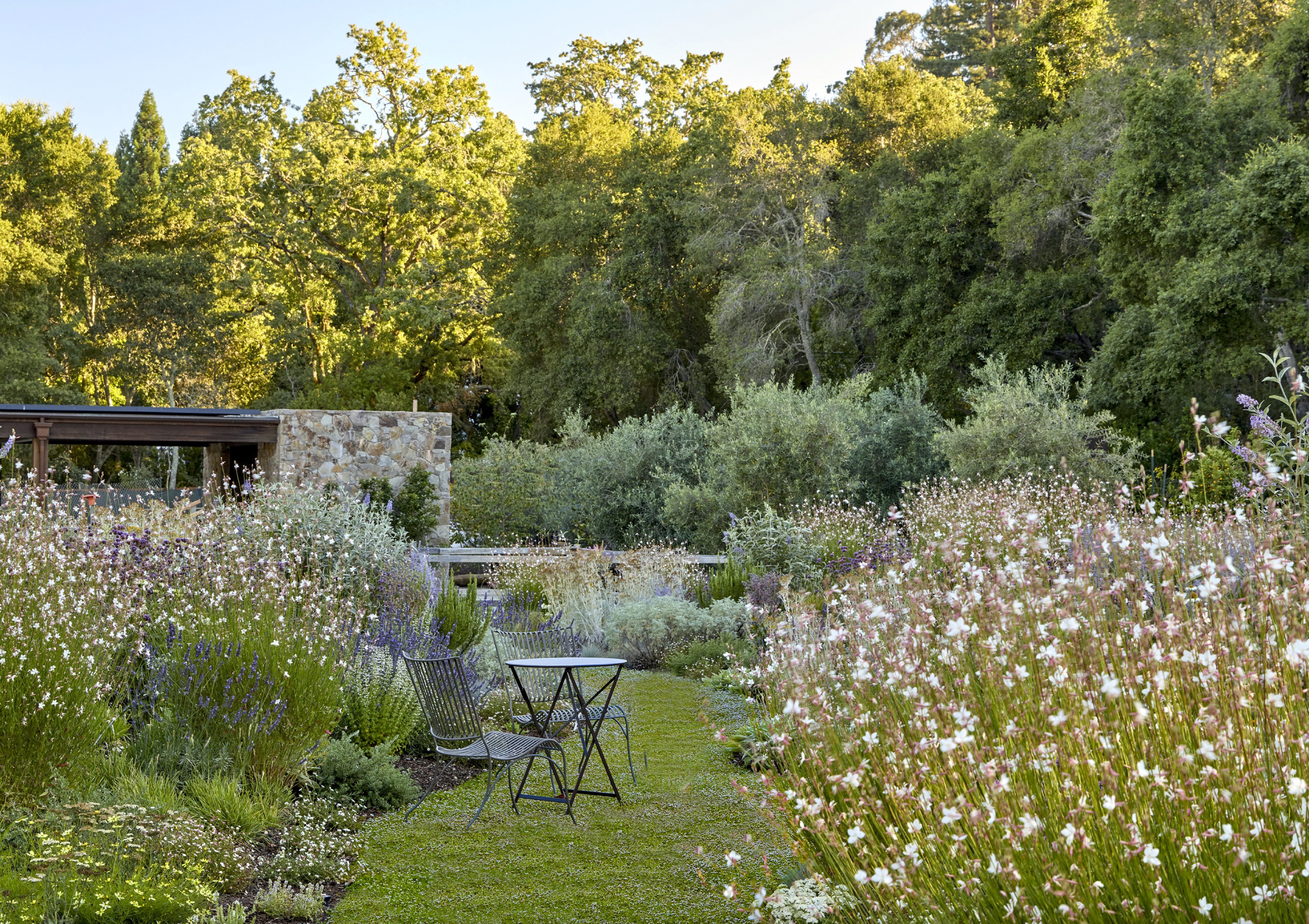 Meadow garden — naturalistic drifts and grasses