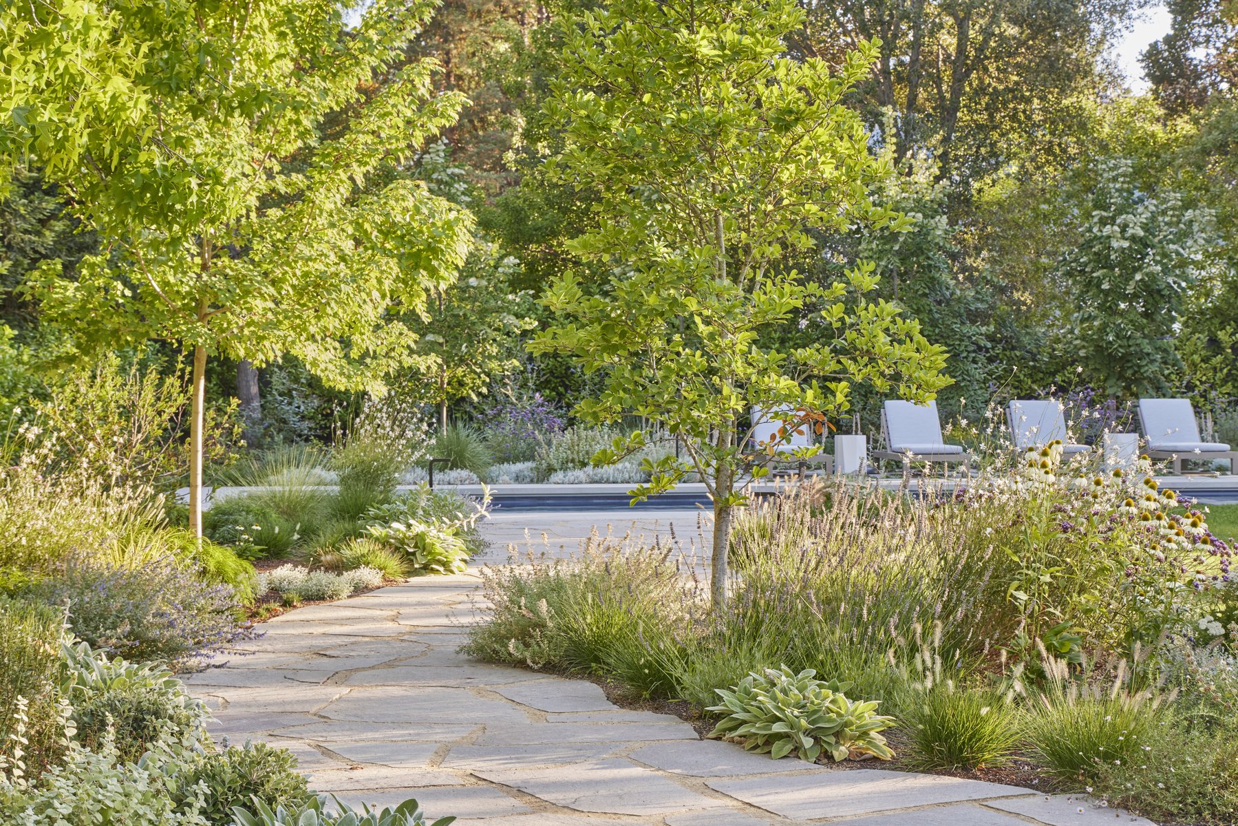 Park-scale landscape — pathways and meadows