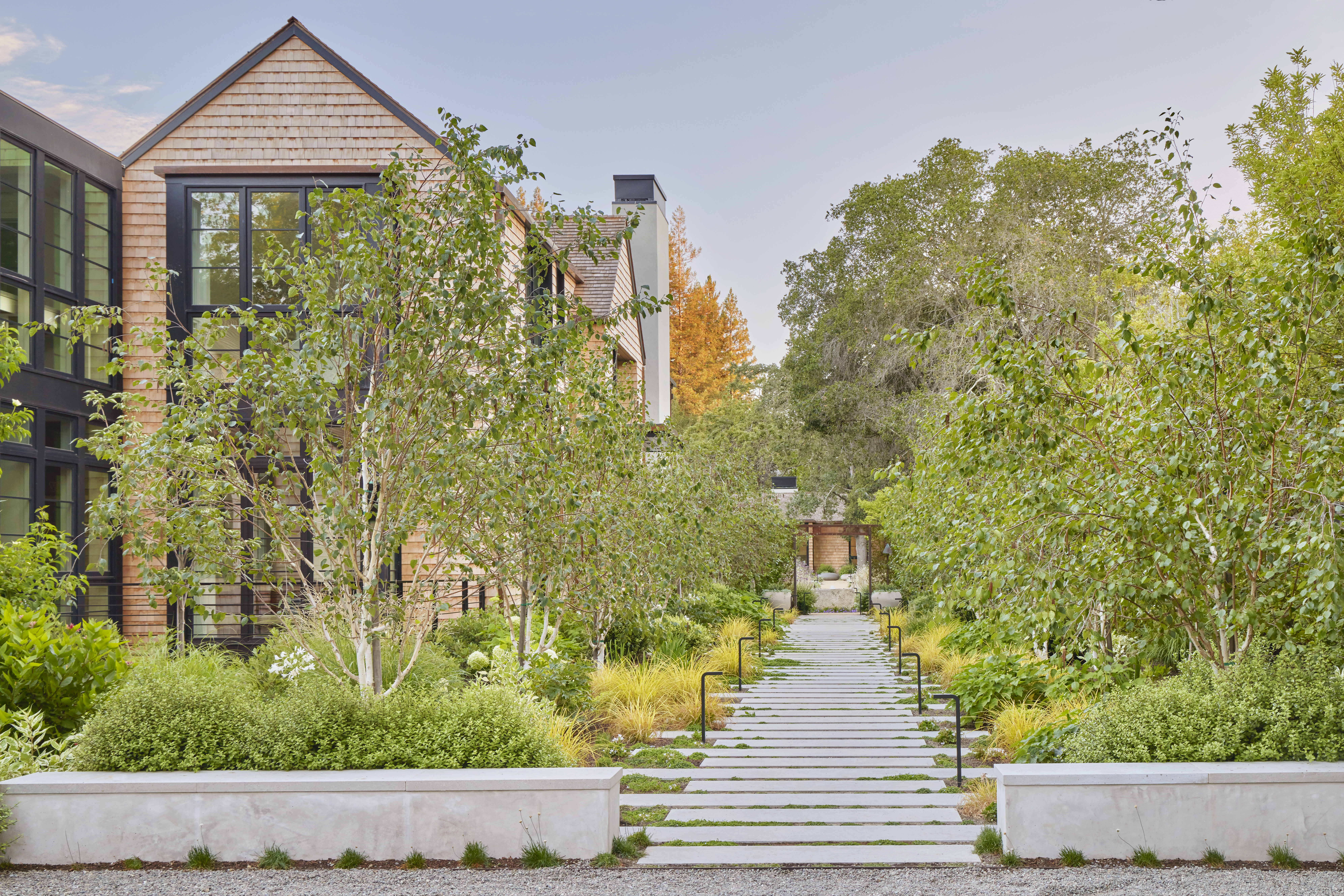 Park-scale landscape — pathways and meadows